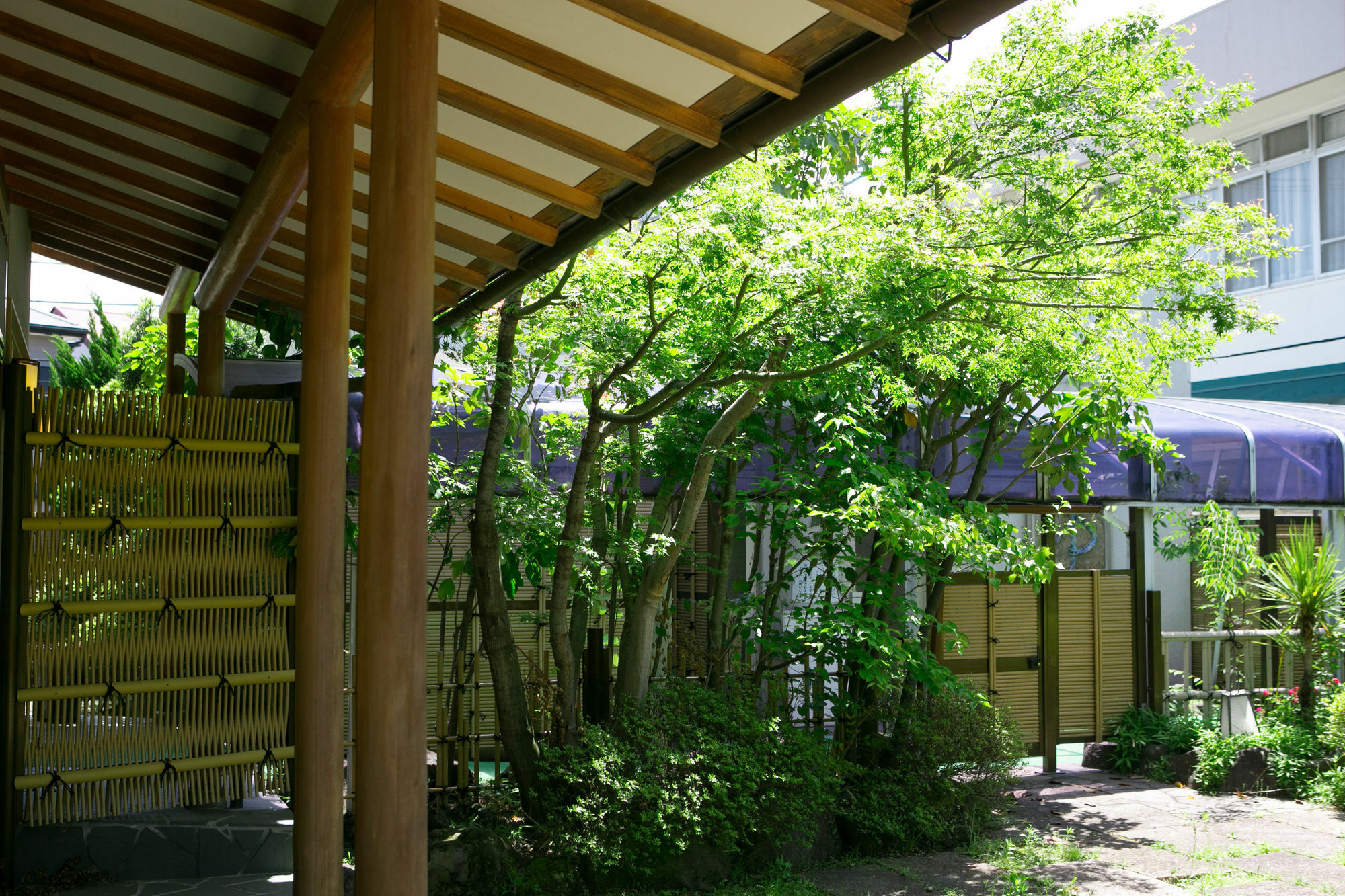 Yugawara-Onsen Manyoso Hotel Buitenkant foto