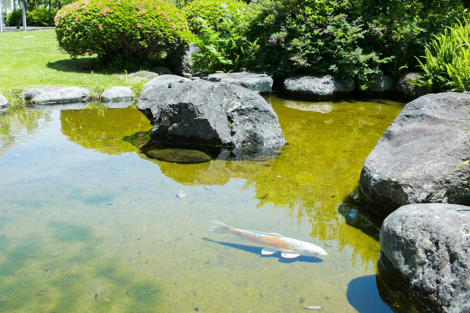 Yugawara-Onsen Manyoso Hotel Buitenkant foto