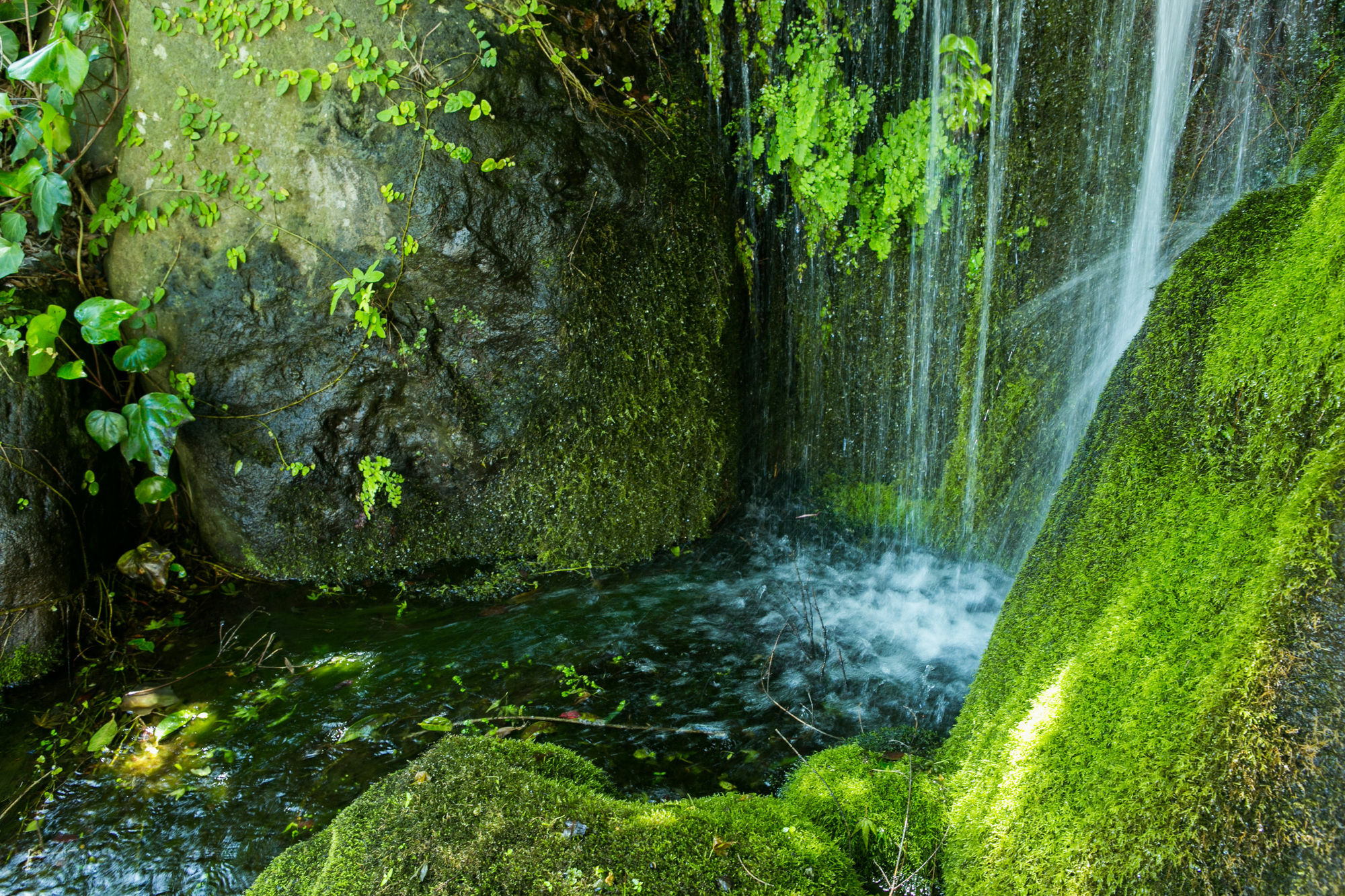 Yugawara-Onsen Manyoso Hotel Buitenkant foto